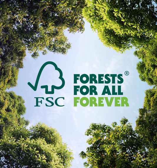 Why FSC® Forest Week Matters