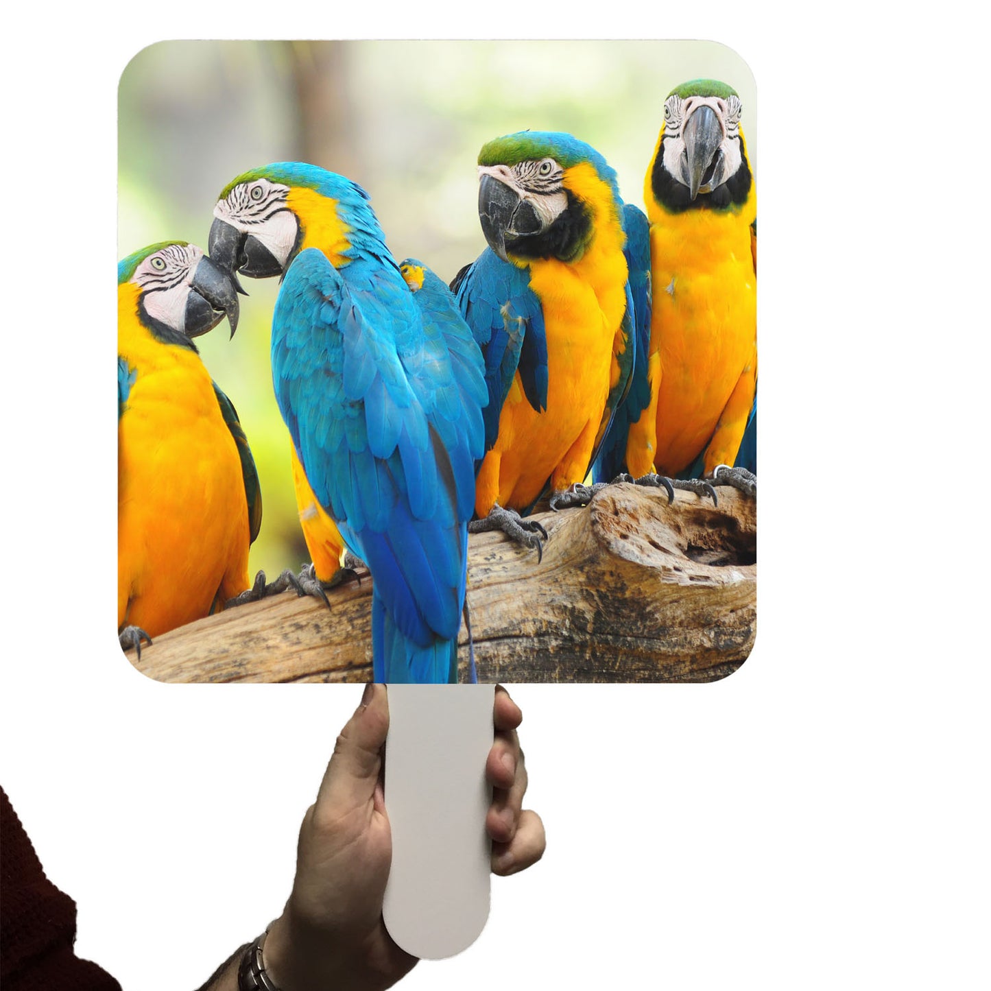 Custom Printed Hand Paddle Signs Black and White London