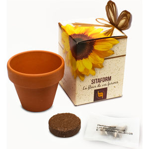 Flower Showbox Black and White London