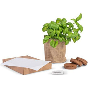 Mailbox Garden Black and White London