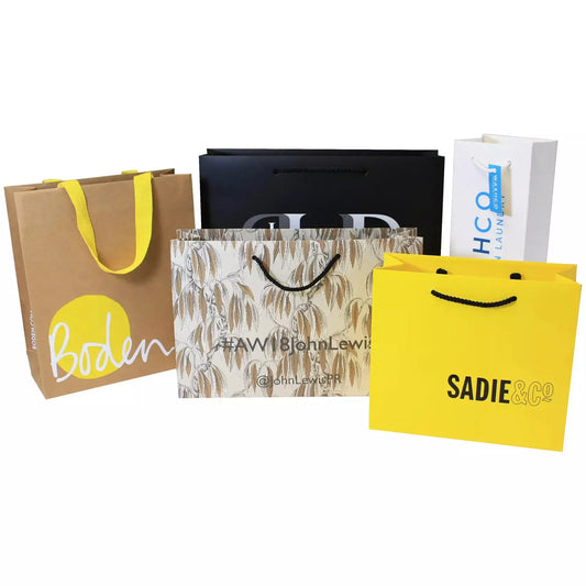Luxury Laminated Rope Handled Paper Carrier Bag Paper Full Colour Print  