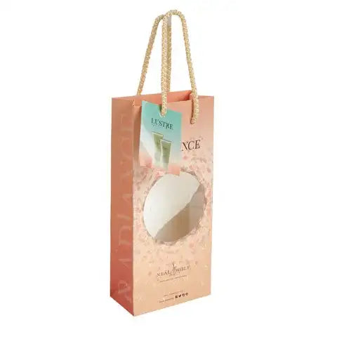 Luxury Laminated Rope Handled Paper Carrier Bag Paper   