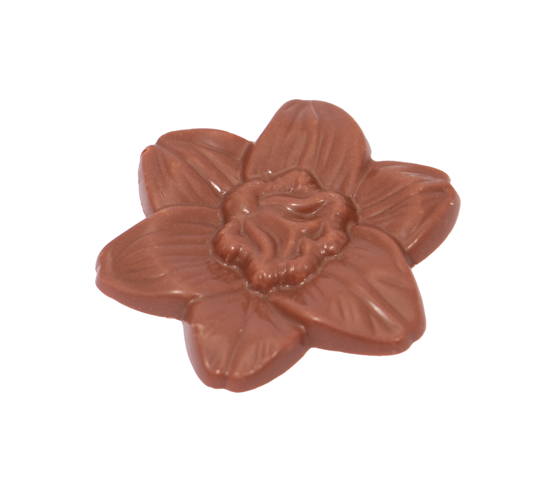 Eco Range - Eco Kraft Cube - Milk Chocolate Flowers - X6 Black and White London