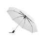 Luxury Automatic Open & Close Telescopic Compact Umbrella Black and White London®