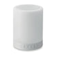 Camping 2-in-1 Wireless Light & Speaker Speakers Black and White London