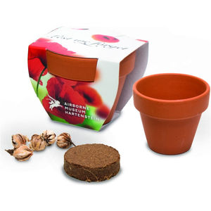 5cm Terracotta Pot Seedsticks & Plants Black and White London