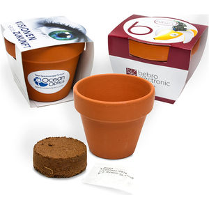 7cm Terracotta Pot Seedsticks & Plants Black and White London