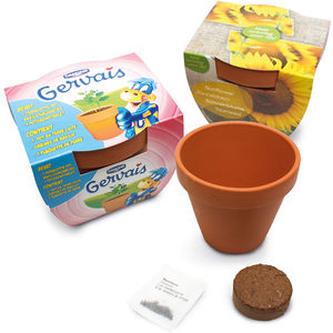 10cm Terracotta Maxi Pot Seedsticks & Plants Black and White London