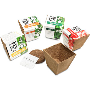 Biodegradable Pot Seedsticks & Plants Black and White London