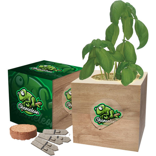 Desktop Cube Gardens Seedsticks & Plants Black and White London