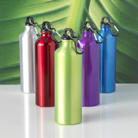 Pacific 770 ml Water Bottle with Carabiner  Black and White London