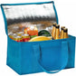 Rainham 12 Can Cooler Bag Cooler Bags   