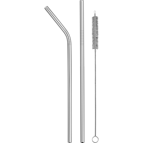 Reusable Metal Straw Set in Paper Sleeve  Silver  