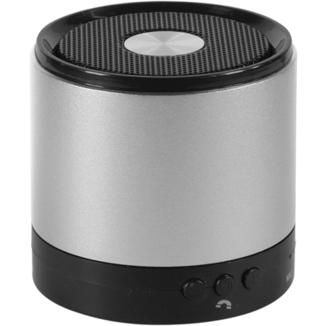 Triton Bluetooth Speaker  Silver  
