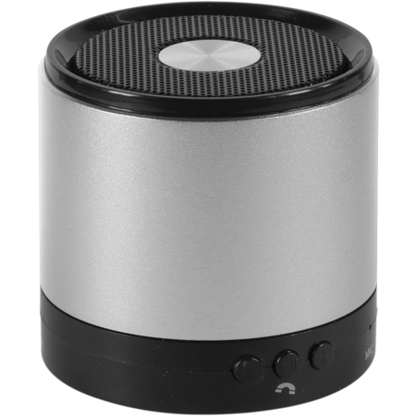Triton Bluetooth Speaker  Silver  