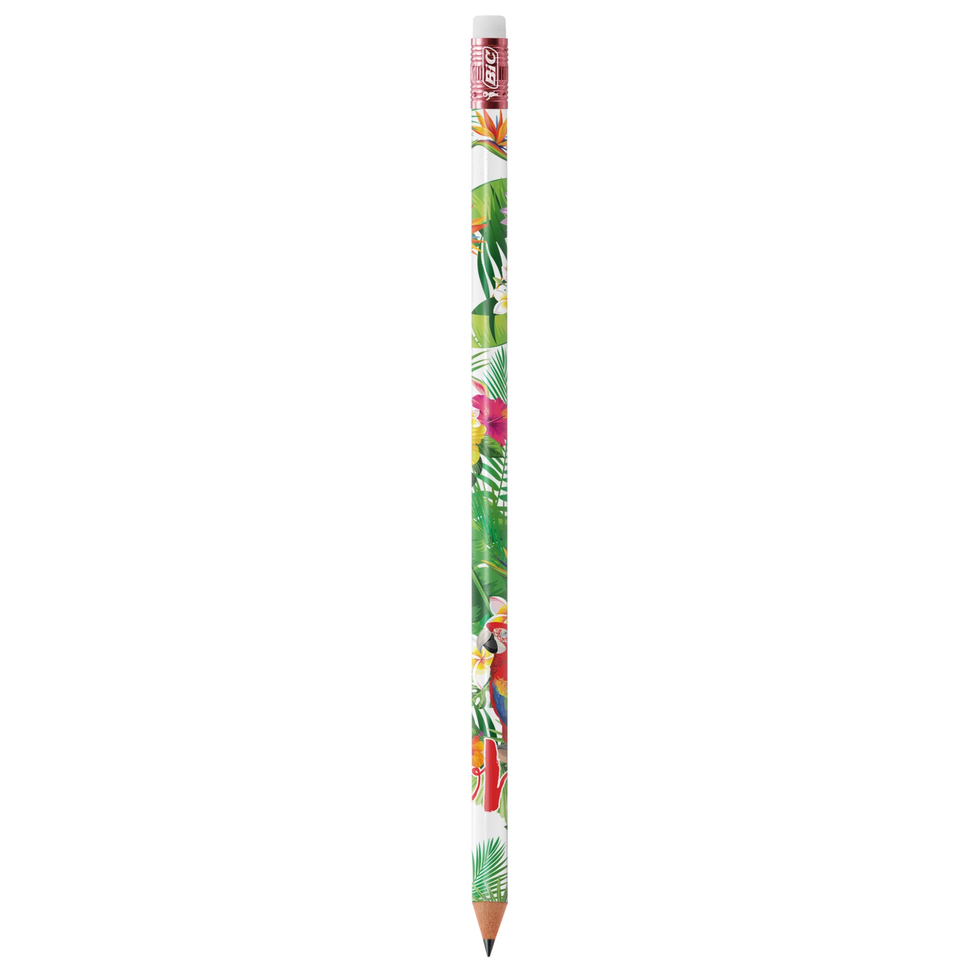 BIC® Evolution® Ecolutions® Eraser pencil BIC® Stationery Black and White London